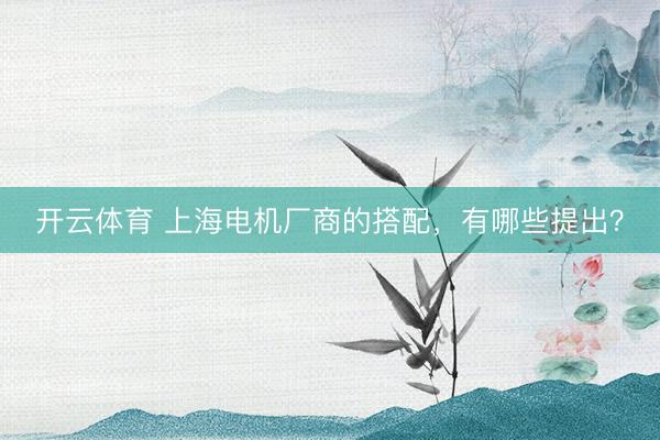 开云体育 上海电机厂商的搭配，有哪些提出？