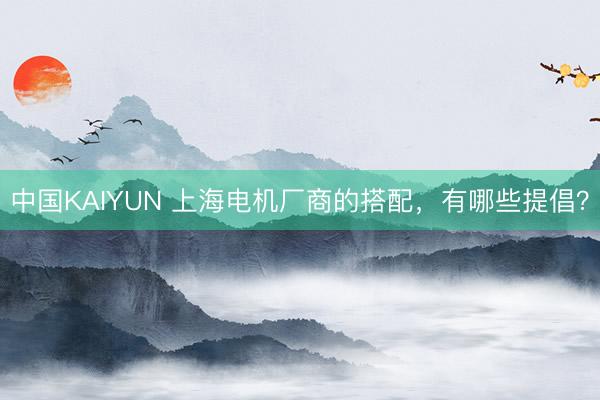 中国KAIYUN 上海电机厂商的搭配，有哪些提倡？