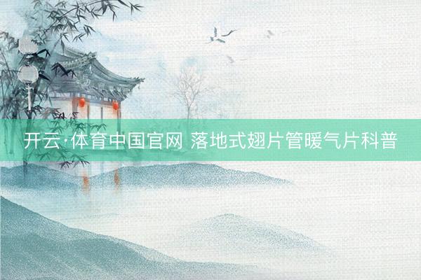 开云·体育中国官网 落地式翅片管暖气片科普