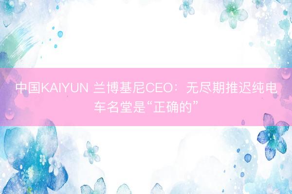 中国KAIYUN 兰博基尼CEO：无尽期推迟纯电车名堂是“正确的”