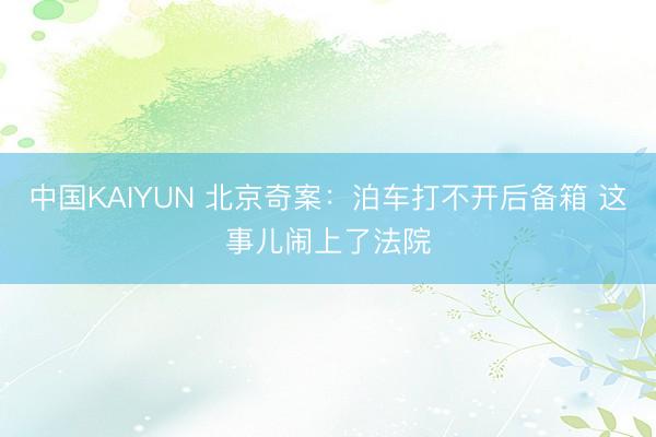 中国KAIYUN 北京奇案：泊车打不开后备箱 这事儿闹上了法院