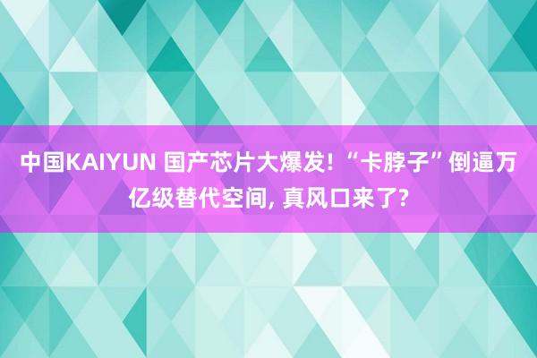 中国KAIYUN 国产芯片大爆发! “卡脖子”倒逼万亿级替代空间， 真风口来了?